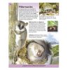 Enciclopedia Ilustrada Mundo Animal - Image 2
