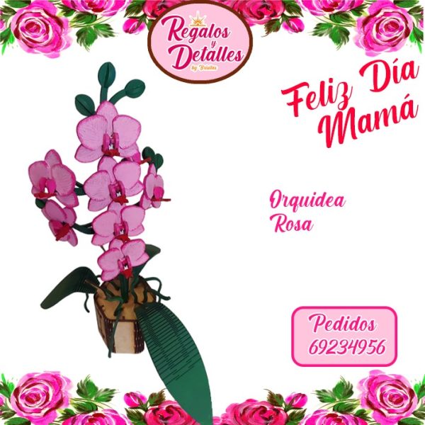 Orquídea Rosa