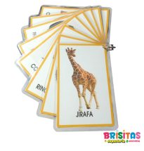 Animales Salvajes