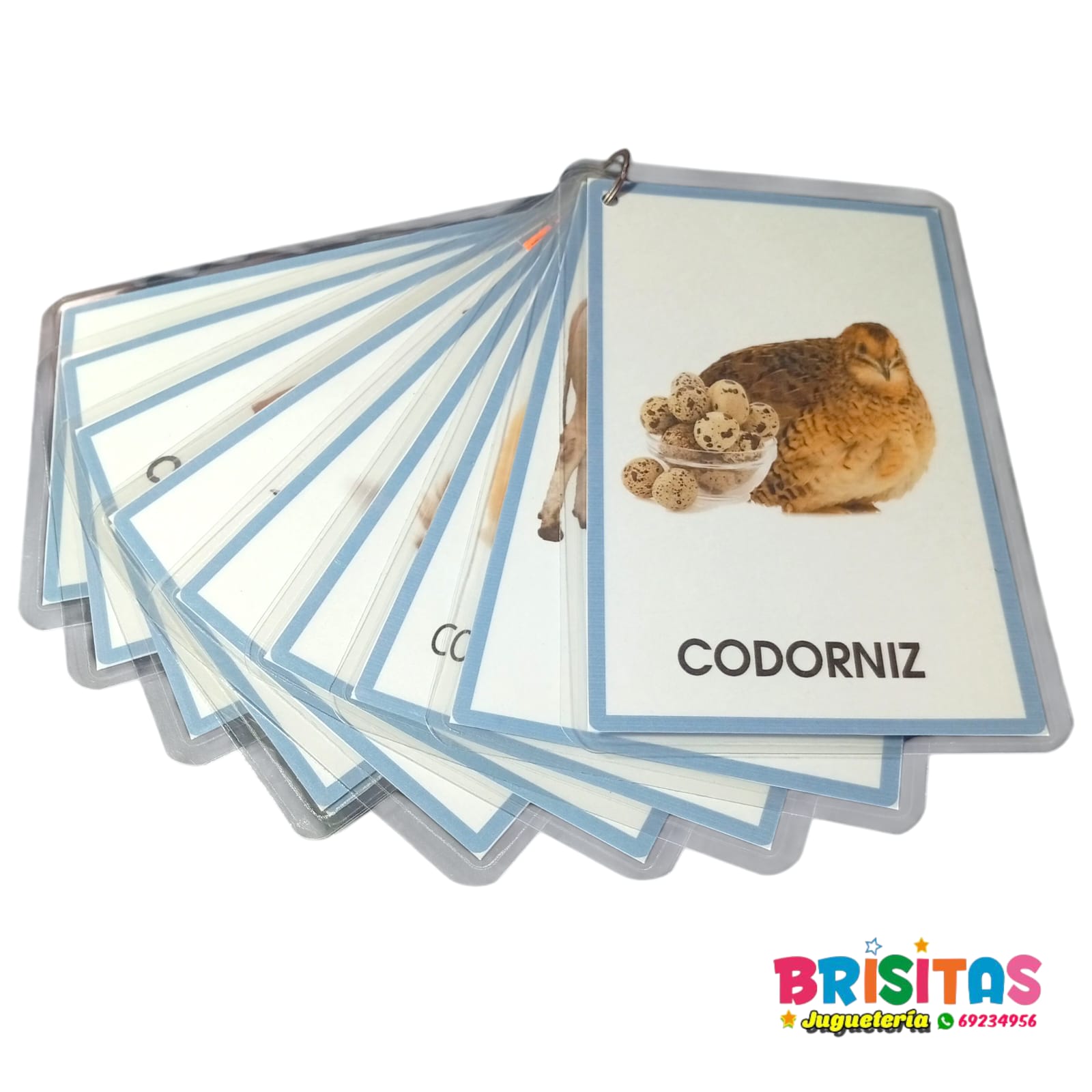 animales3