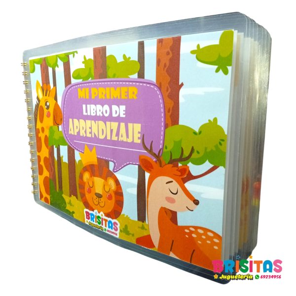 Mi Primer Libro de Aprendizaje