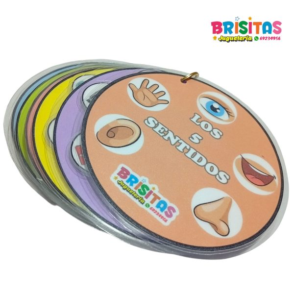 Llavero los Cinco Sentidos con Velcro