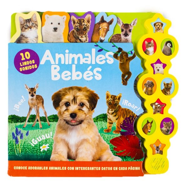 Libro Animales Bebés