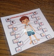 Cartilla del Cuerpo Humano con Velcro