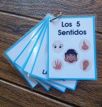 Llavero los Sentidos (fotos animadas)