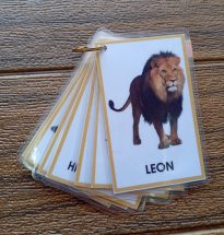 Llavero de Animales salvajes (pequeño)