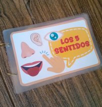 Los Sentidos con Velcro