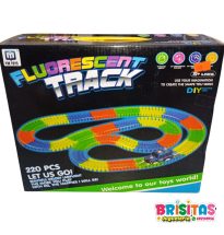 Pista Fluorescente Track 220 Piezas