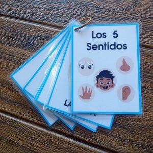 Llavero los Sentidos (fotos animadas)