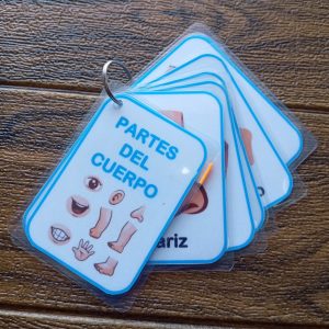 Llavero las Partes del Cuerpo (fotos animadas)