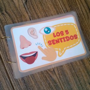Los Sentidos con Velcro