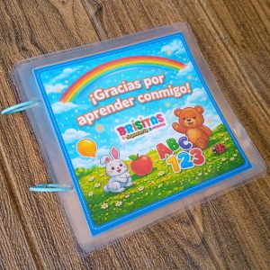 Libro Mini de Aprendizaje