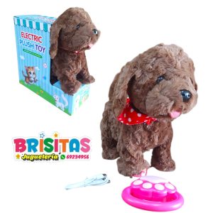 Perrito Café Camina y Musical