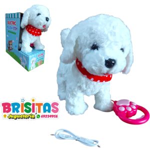 Perrito Blanco Camina y Musical