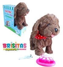 Perrito Café Camina y Musical